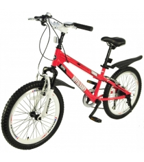 Двухколесный велосипед Royal Baby Freestyle Bike 6 Speed Steel RB20B-6S
